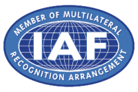 IAF Logo